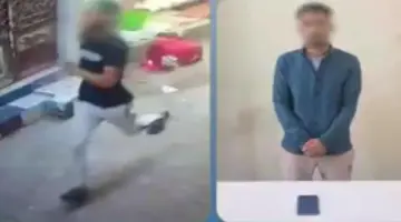 سقوط لص “الخطف” في البحيرة.. سرق موبايل سيدة في الشارع